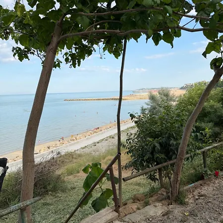 Akt * Agigea
